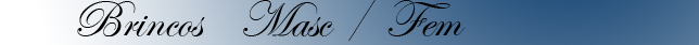 brincos_